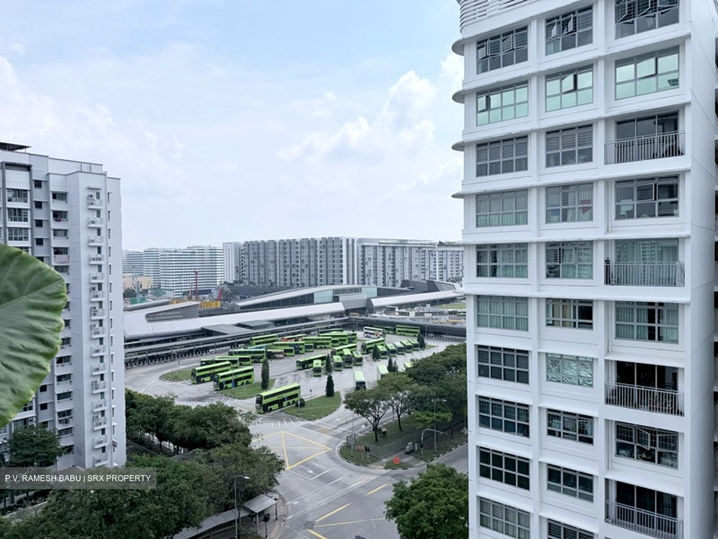 Blk 288A Punggol Arcadia (Punggol), HDB 4 Rooms #597716731